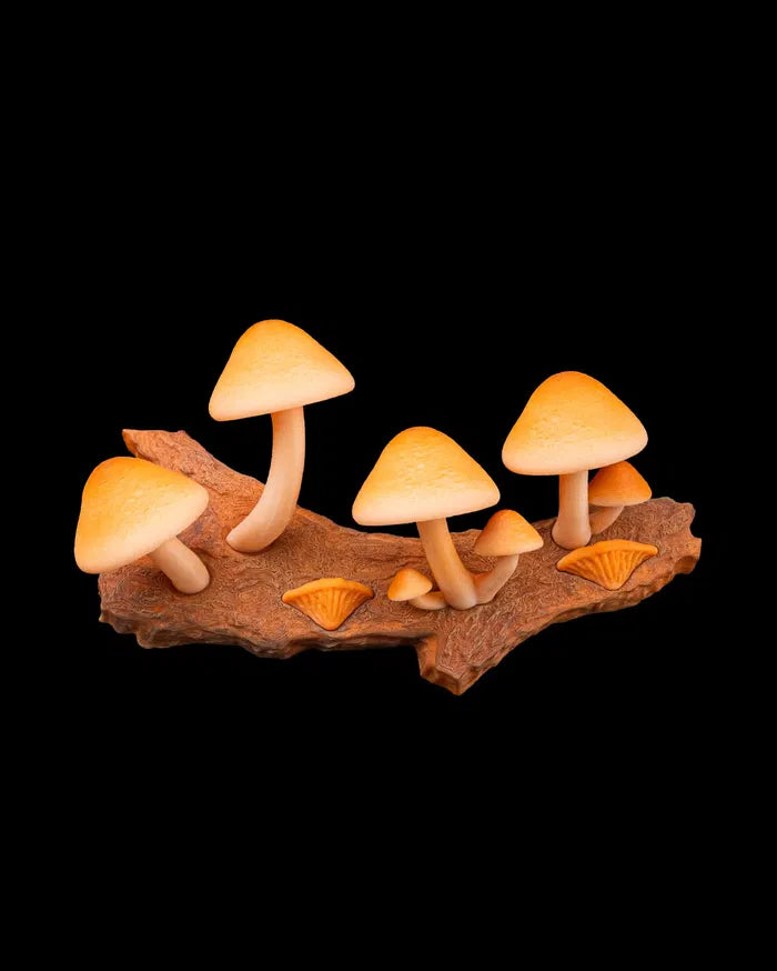 Champignons Magiques – Aimants Décoratifs