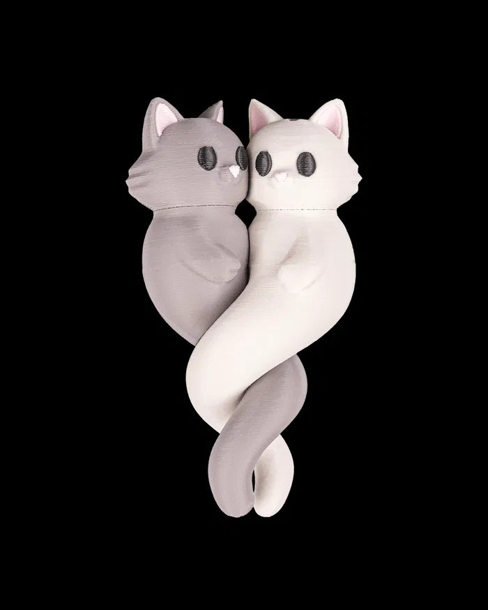 Colliers Duo Aimantés « Feline Match »