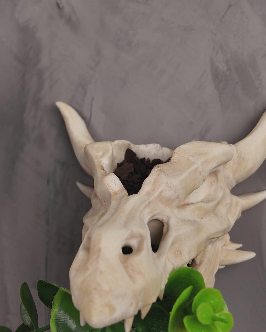 Tête de dragon – Jardinière murale