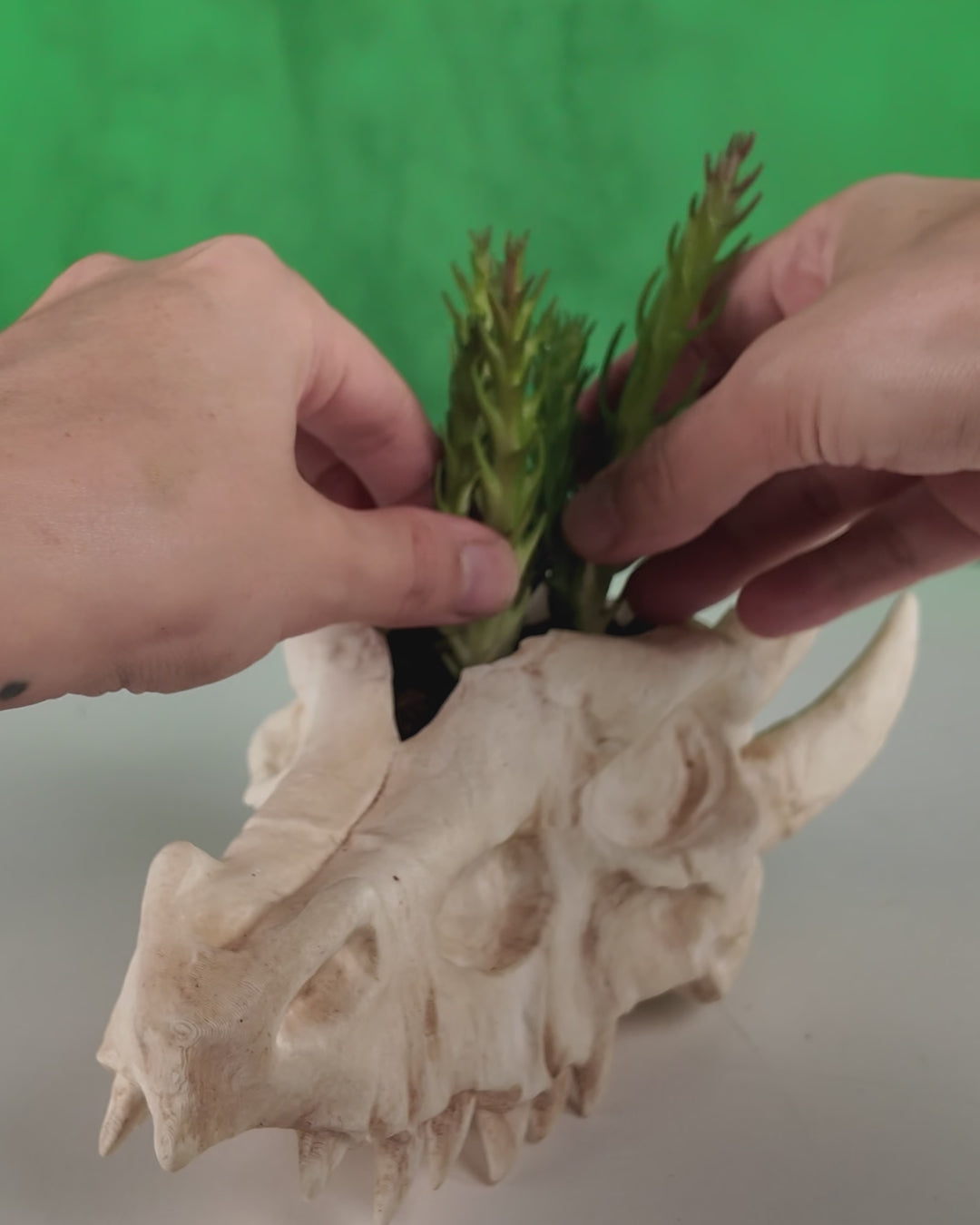 Pot décoratif tête de dragon